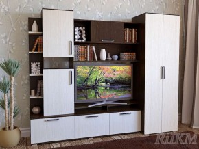 Гостиная Денвер РиИКМ в Сатке - satka.mebel74.com | фото