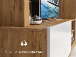 Гостиная Флекс в Сатке - satka.mebel74.com | фото 4