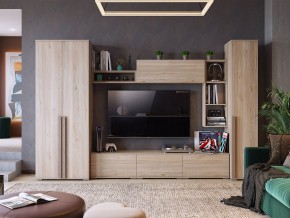 Гостиная модульная Лайк К43 в Сатке - satka.mebel74.com | фото 12