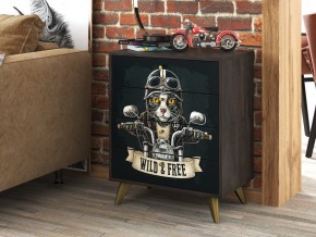 Комод КМ-001 Фьюжн АРТ камень угольный-biker cat в Сатке - satka.mebel74.com | фото 2