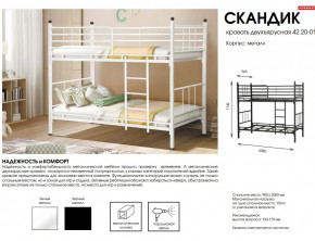 Кровать двухъярусная Скандик 42.20-01 в Сатке - satka.mebel74.com | фото 2