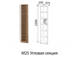 М25 Угловая секция в Сатке - satka.mebel74.com | фото