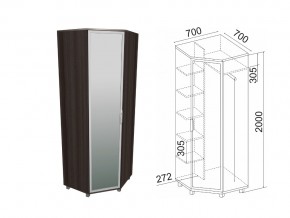 Модуль №8 Шкаф угловой зеркало в Сатке - satka.mebel74.com | фото