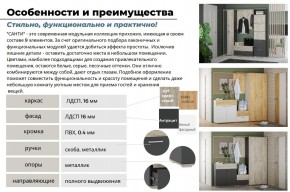 Прихожая Санти Белый/Дуб Крафт Золотой в Сатке - satka.mebel74.com | фото 3