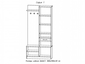 Прихожая София 1 в Сатке - satka.mebel74.com | фото 2