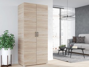 Шкаф 2 створчатый в Сатке - satka.mebel74.com | фото