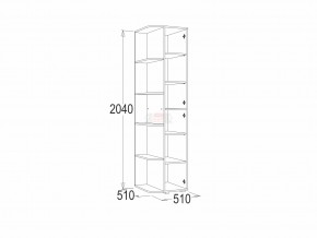 Шкаф крайний Омега 16 в Сатке - satka.mebel74.com | фото 2