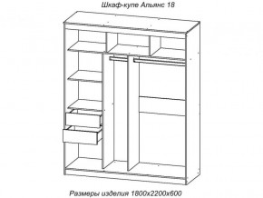 Шкаф-купе Альянс 18 комплект зеркал №4 в Сатке - satka.mebel74.com | фото 2