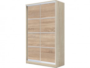 Шкаф-купе Хит 22-4-12-11 с разделителями в Сатке - satka.mebel74.com | фото