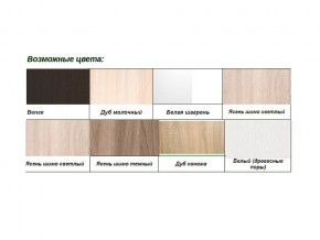 Шкаф-купе Хит 23-14-66 пескоструй 12 Белый древесные поры в Сатке - satka.mebel74.com | фото 2