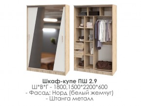 шкаф-купе ПШ-2.9 1500 Норд Белый жемчуг 1500 в Сатке - satka.mebel74.com | фото