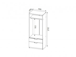 Шкаф с 2-мя ящиками ЛДСП Фаворит в Сатке - satka.mebel74.com | фото 2