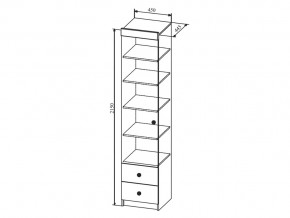 Шкаф Сканди ШД450.1 в Сатке - satka.mebel74.com | фото 2