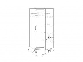 Шкаф угловой Дуглас модуль 1 в Сатке - satka.mebel74.com | фото 2