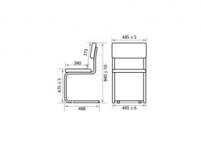 Стул Sylwia chrome Z21 в Сатке - satka.mebel74.com | фото 2