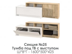 Тумба под ТВ с выступом Эдем-1 секция №25 в Сатке - satka.mebel74.com | фото 2